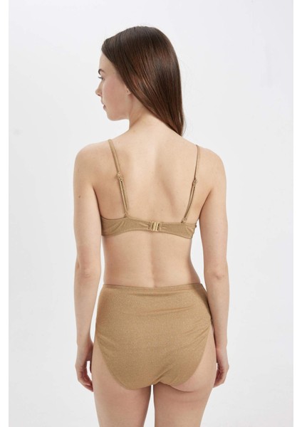 Regular Fit Parlak Kumaş Yüksek Bel Bikini Altı C3180AX24SM