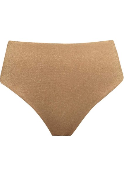 Regular Fit Parlak Kumaş Yüksek Bel Bikini Altı C3180AX24SM