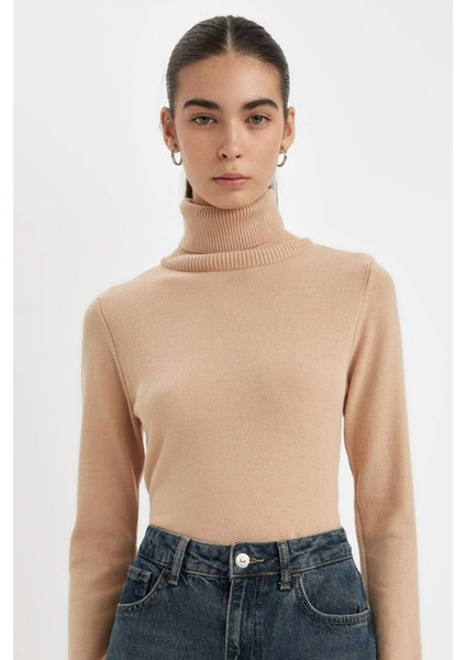 Regular Fit Yumuşak Dokulu Balıkçı Yaka Basic Düz Triko Kazak H1651AZ24WN