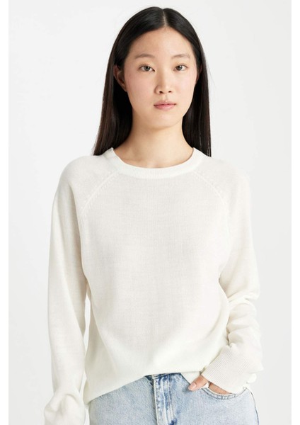 Regular Fit Yumuşak Dokulu Bisiklet Yaka Basic Düz Triko Kazak I6913AZ24WN