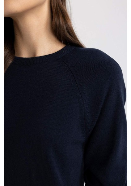 Regular Fit Yumuşak Dokulu Bisiklet Yaka Basic Düz Triko Kazak I6913AZ24WN