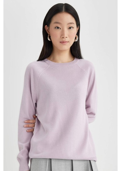 Regular Fit Yumuşak Dokulu Bisiklet Yaka Reglan Kol Basic Düz Triko Kazak I6913AZ24WN