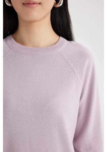 Regular Fit Yumuşak Dokulu Bisiklet Yaka Reglan Kol Basic Düz Triko Kazak I6913AZ24WN
