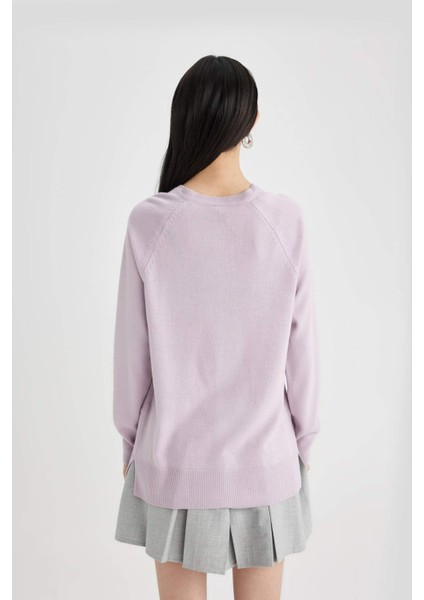 Regular Fit Yumuşak Dokulu Bisiklet Yaka Reglan Kol Basic Düz Triko Kazak I6913AZ24WN
