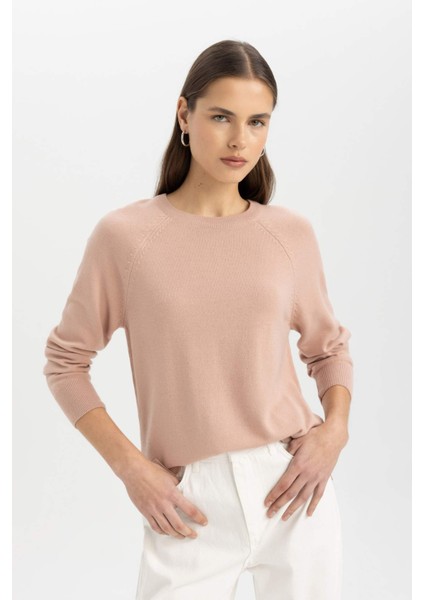 Regular Fit Yumuşak Dokulu Bisiklet Yaka Basic Düz Triko Kazak I6913AZ24WN