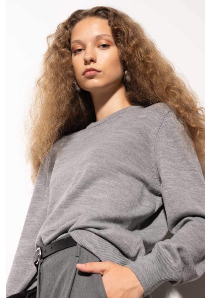 Regular Fit Yumuşak Dokulu Bisiklet Yaka Basic Düz Triko Kazak C0058AX24WN