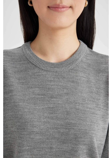 Regular Fit Yumuşak Dokulu Bisiklet Yaka Basic Düz Triko Kazak C0058AX24WN