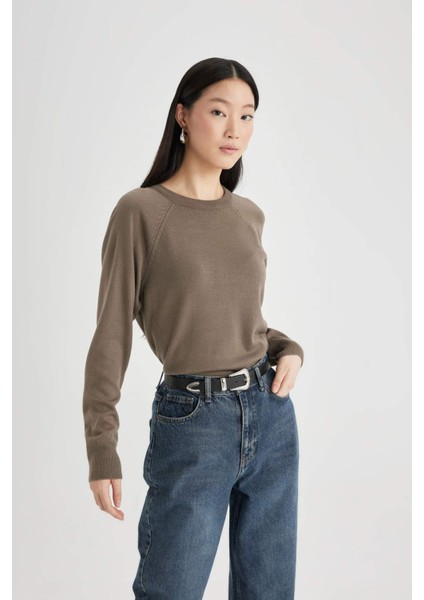 Regular Fit Yumuşak Dokulu Bisiklet Yaka Basic Düz Triko Kazak I6913AZ24WN