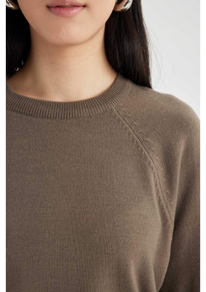 Regular Fit Yumuşak Dokulu Bisiklet Yaka Basic Düz Triko Kazak I6913AZ24WN