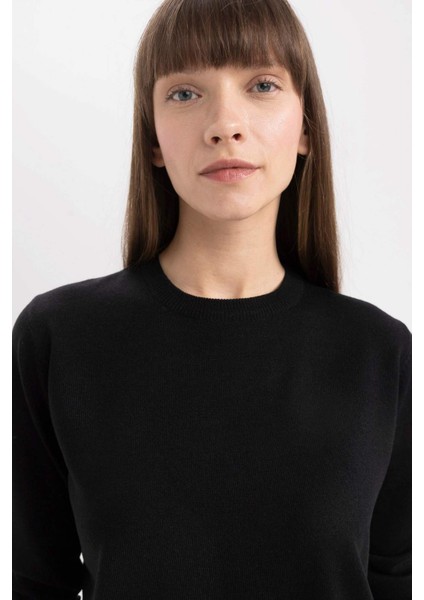 Siyah Regular Fit Yumuşak Dokulu Bisiklet Yaka Basic Düz Triko Kazak C0058AX24WN