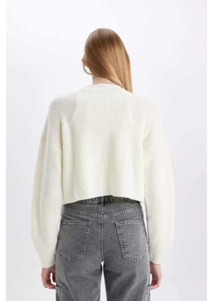 Regular Fit V Yaka Basic Düz Düğmeli Triko Hırka U2052AZ24AU