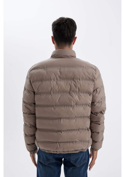 Regular Fit Dik Yaka Fermuarlı Cepli Mevsimlik Baharlık Şişme Mont