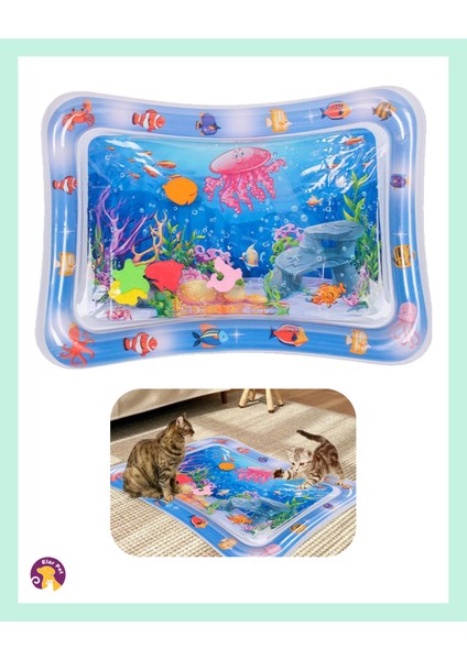 Kedi Su Oyun Matı 50-69CM