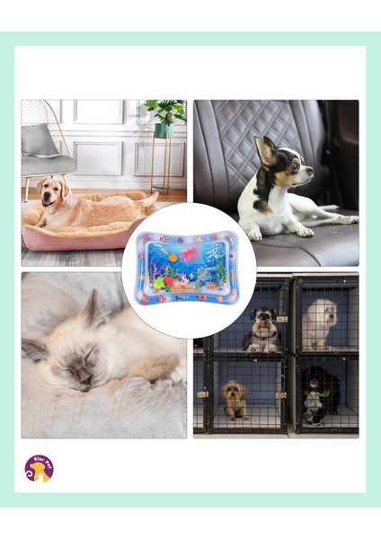 Kedi Su Oyun Matı 50-69CM fırsatları