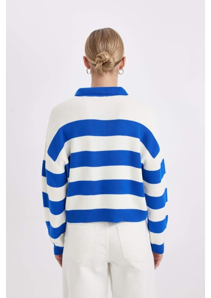 Regular Fit Polo Yaka Düğmeli Çizgili Triko Kazak A2357AX24WN