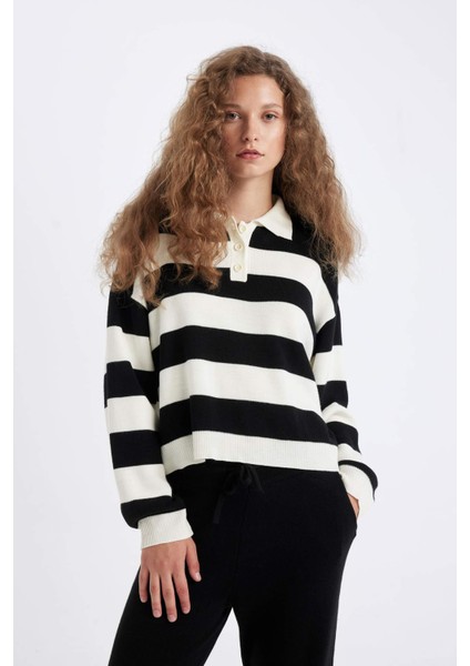 Regular Fit Düğmeli Çizgili Polo Yaka Triko Kazak A2357AX24WN