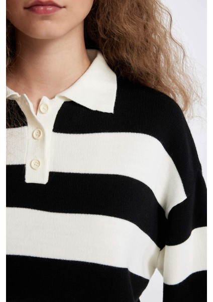 Regular Fit Düğmeli Çizgili Polo Yaka Triko Kazak A2357AX24WN