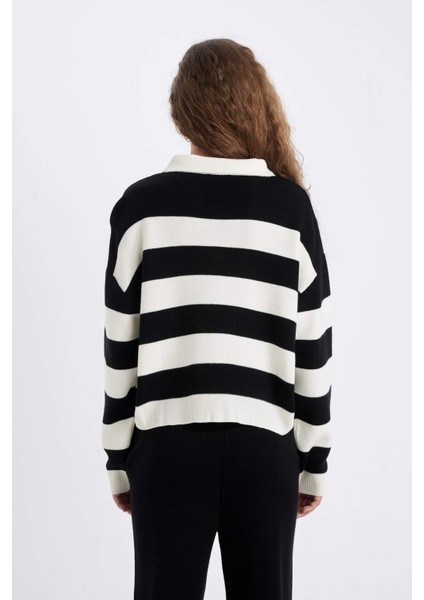 Regular Fit Düğmeli Çizgili Polo Yaka Triko Kazak A2357AX24WN