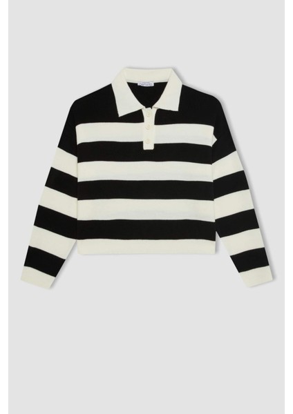 Regular Fit Düğmeli Çizgili Polo Yaka Triko Kazak A2357AX24WN