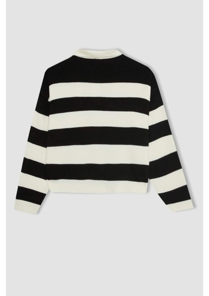 Regular Fit Düğmeli Çizgili Polo Yaka Triko Kazak A2357AX24WN