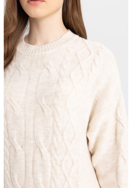 Regular Fit Bisiklet Yaka Saç Örgülü Basic Düz Uzun Kollu Maxi Triko Elbise Y2073AZ24WN