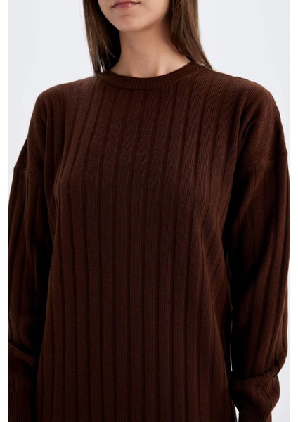 Regular Fit Yarım Balıkçı Yaka Basic Düz Uzun Kollu Triko Elbise W0986AZ24WN