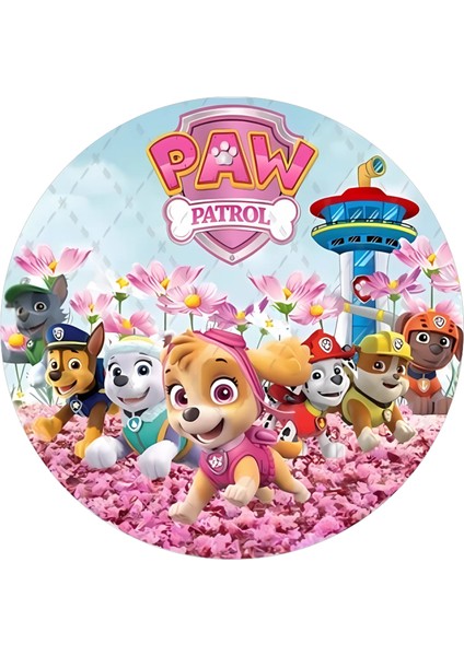 Yenilebilir Yuvarlak Pasta Resim Baskısı 20 cm Şekerli Kağıt Paw Patrol Temalı 35