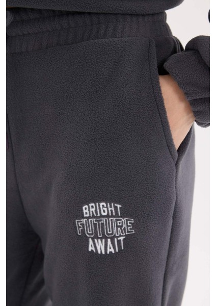 Standart Fit Polar Eşofman Altı Beli Bağcıklı Lastikli Paça Cepli Baskılı Uzun Boy Y2650AZ24WN