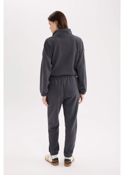 Standart Fit Polar Eşofman Altı Beli Bağcıklı Lastikli Paça Cepli Baskılı Uzun Boy Y2650AZ24WN