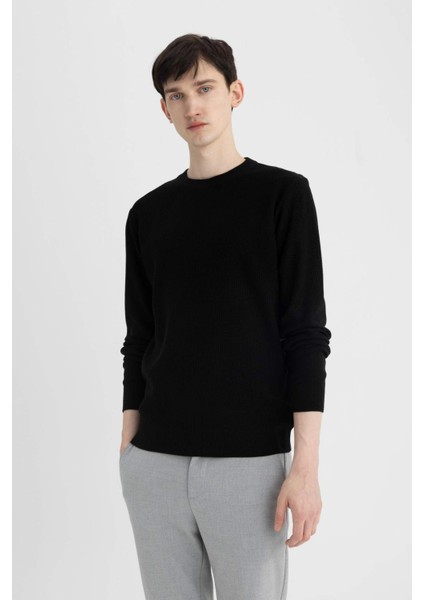 Siyah Standart Fit Normal Kesim Pamuklu Bisiklet Yaka Triko Kazak A5181AX24AU