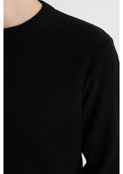 Siyah Standart Fit Normal Kesim Pamuklu Bisiklet Yaka Triko Kazak A5181AX24AU