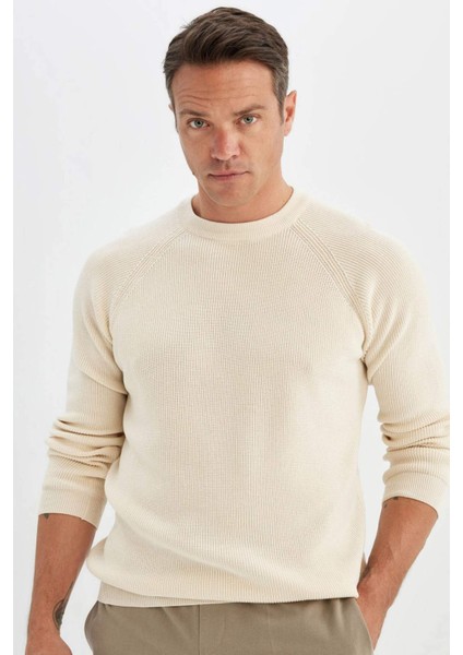 Standart Fit Bisiklet Yaka Triko Kazak A8458AX24WN