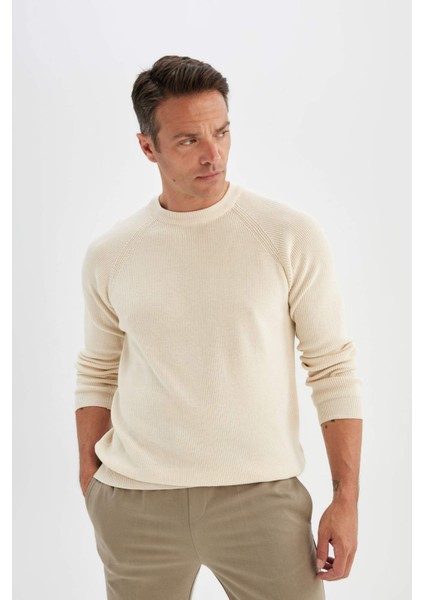 Standart Fit Bisiklet Yaka Triko Kazak A8458AX24WN