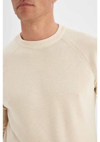 Standart Fit Bisiklet Yaka Triko Kazak A8458AX24WN