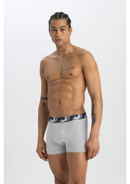 Regular Fit 3'lü Boxer A5862AX24SM