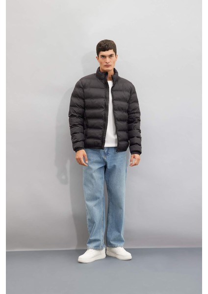 Regular Fit Dik Yaka Fermuarlı Cepli Mevsimlik Baharlık Şişme Mont C4856AX24WN