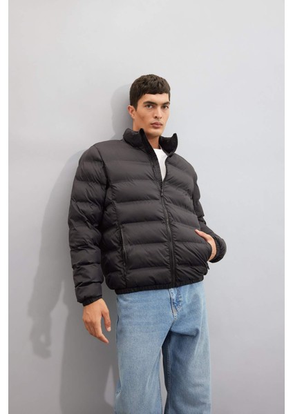 Regular Fit Dik Yaka Fermuarlı Cepli Mevsimlik Baharlık Şişme Mont C4856AX24WN