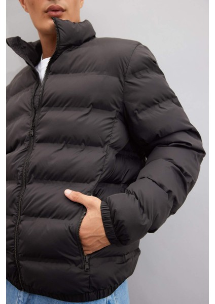 Regular Fit Dik Yaka Fermuarlı Cepli Mevsimlik Baharlık Şişme Mont C4856AX24WN