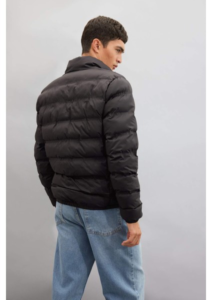 Regular Fit Dik Yaka Fermuarlı Cepli Mevsimlik Baharlık Şişme Mont C4856AX24WN