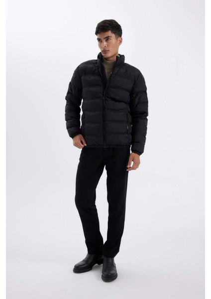 Regular Fit Dik Yaka Fermuarlı Cepli Mevsimlik Baharlık Şişme Mont C4856AX24WN