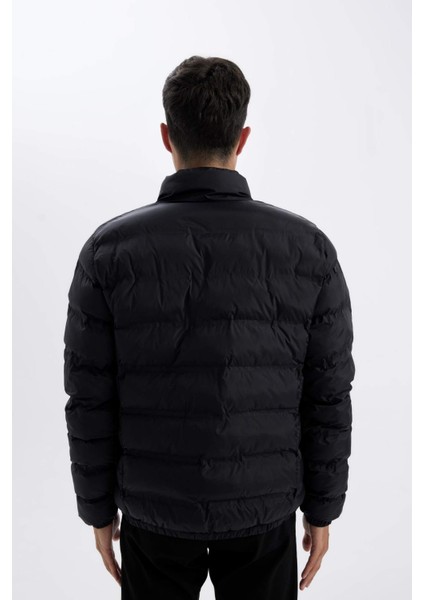 Regular Fit Dik Yaka Fermuarlı Cepli Mevsimlik Baharlık Şişme Mont C4856AX24WN