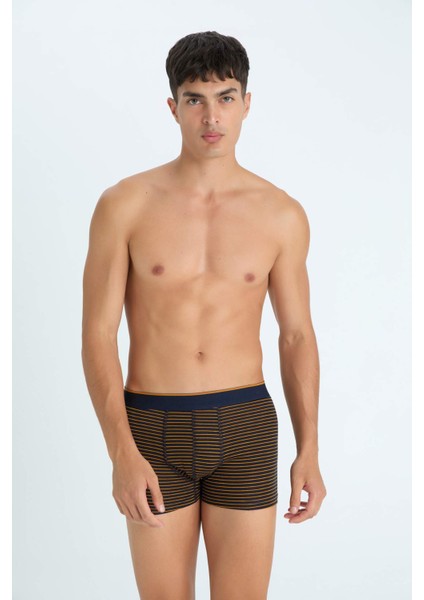 Regular Fit 3'lü Boxer C3293AX24SM