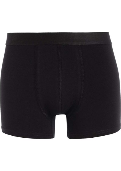 Regular Fit 3'lü Boxer N4277AZ24AU