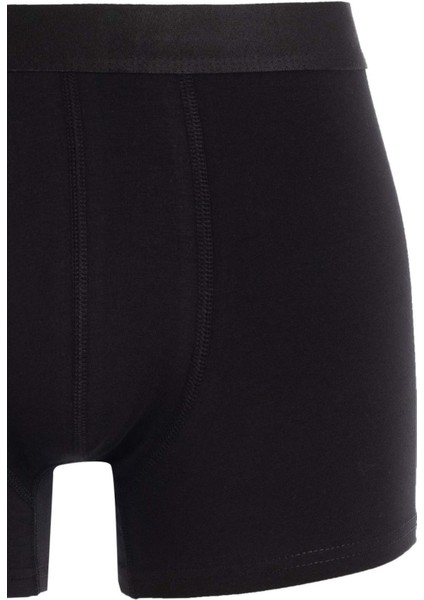 Regular Fit 3'lü Boxer N4277AZ24AU