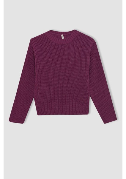 Kız Çocuk Mor Standart Fit Bisiklet Yaka Basic Düz Triko Kazak C6909A824AU