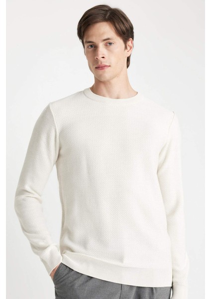 Standart Fit Normal Kesim Bisiklet Yaka Dokulu Triko Kazak C9618AX24AU