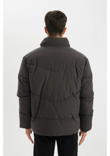 Slim Fit Dar Kesim Dik Yaka Fermuarlı Cepli Şişme Mont C9020AX24WN