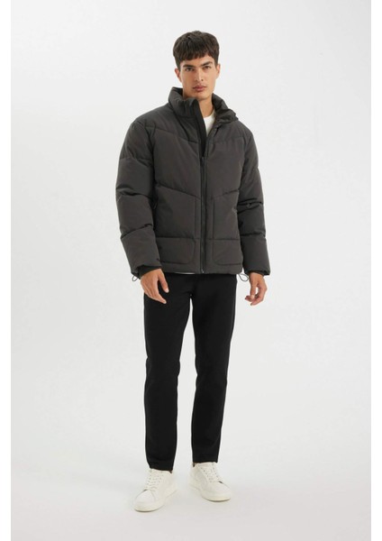 Slim Fit Dar Kesim Dik Yaka Fermuarlı Cepli Şişme Mont C9020AX24WN