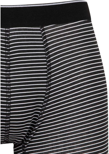 Regular Fit 3'lü Boxer C9558AX24WN