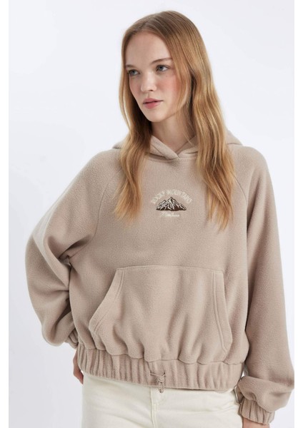 Coool Loose Fit Kapüşonlu Kanguru Cepli Polar Sweatshirt C8197AX24WN